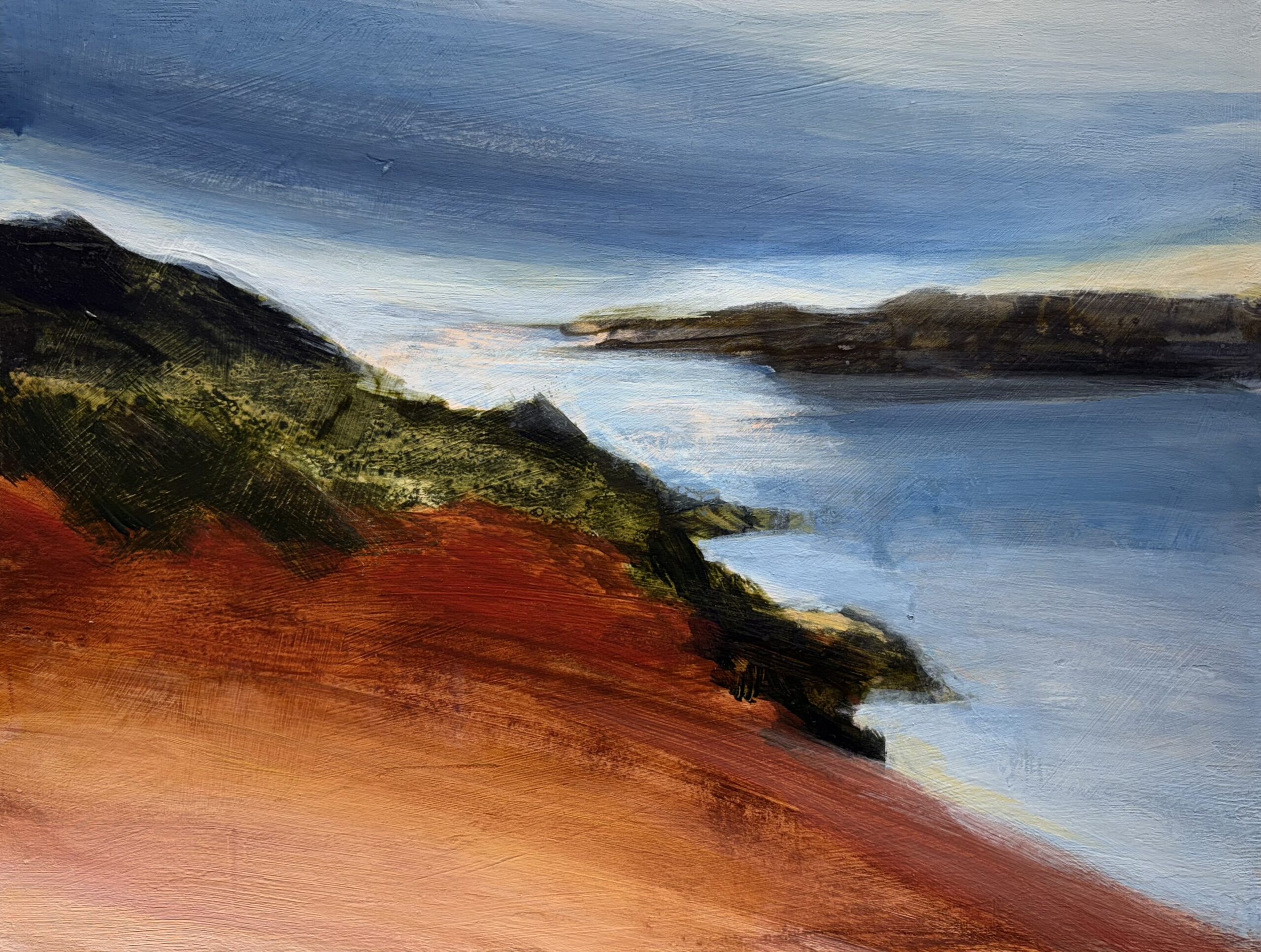 A green and muted red bluff sits in a grey-blue bay under a dark foggy sky.